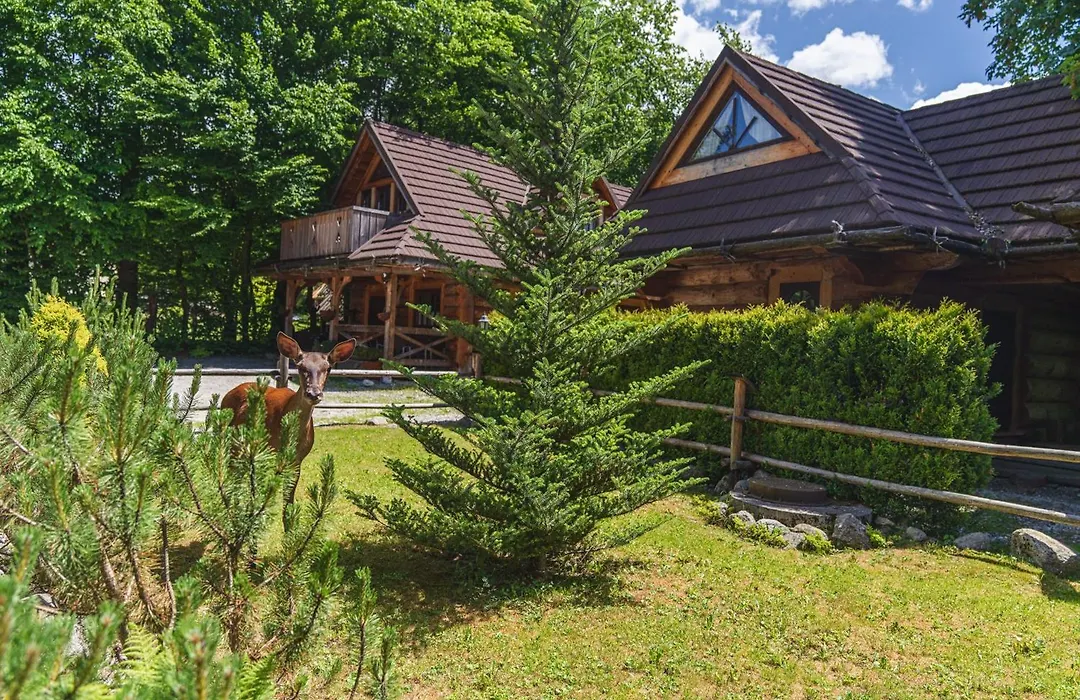 Mountain Shelter Zakopane-1